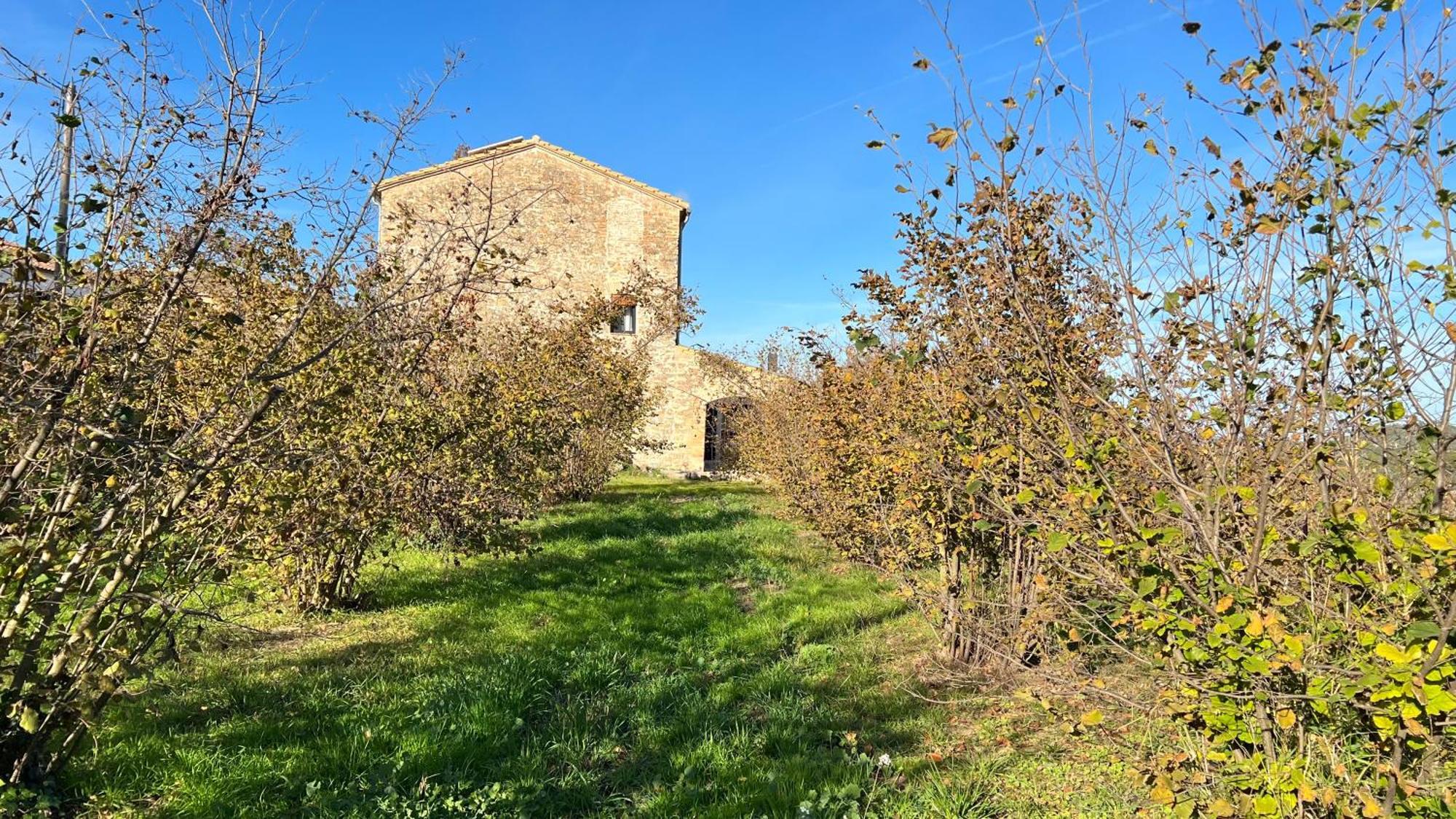 La Creveta Villa Tivissa Exterior foto